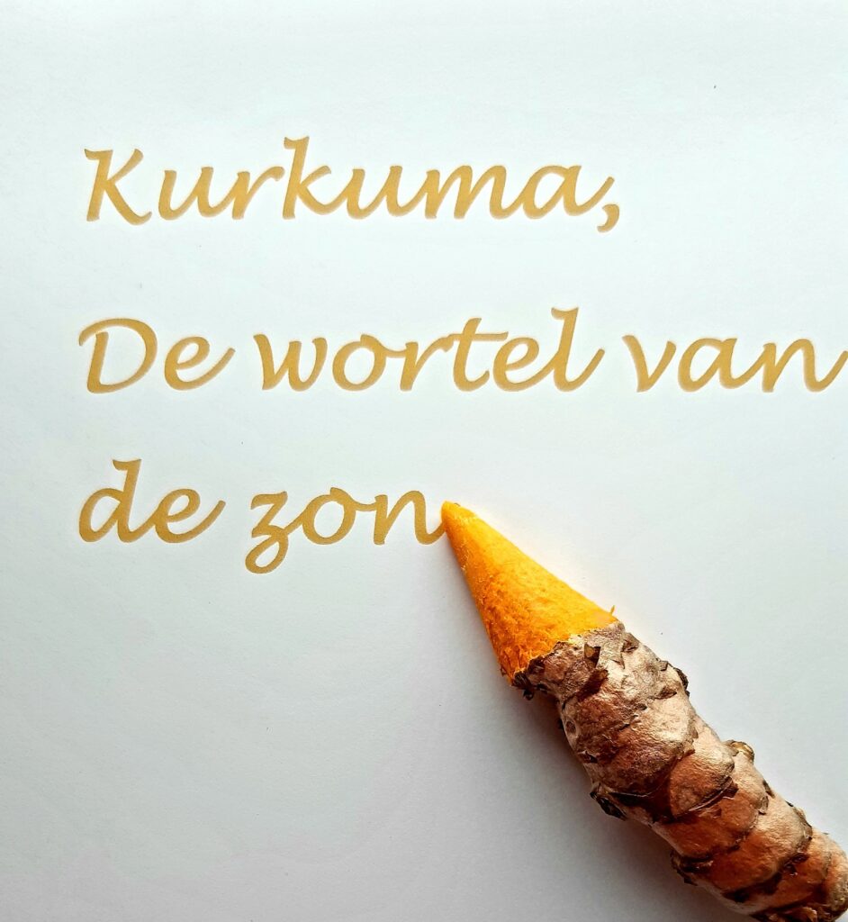 tekst kurkuma, de wortel van de zon met kurkumawortel