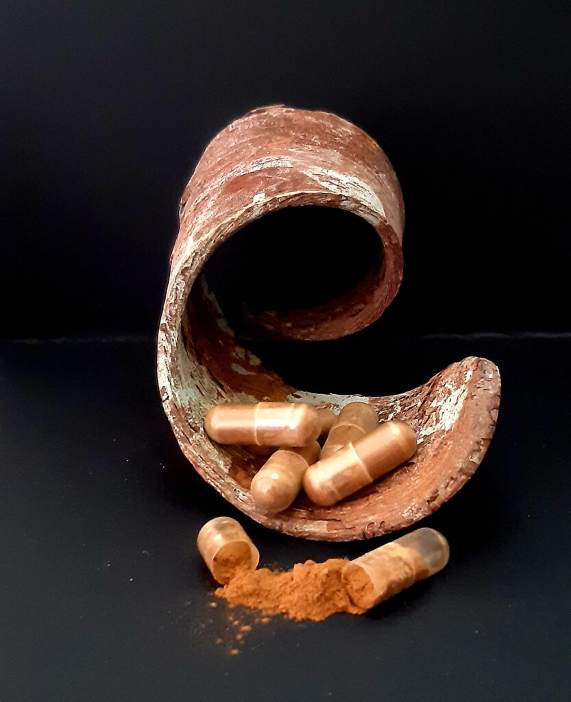 shilajit capsules